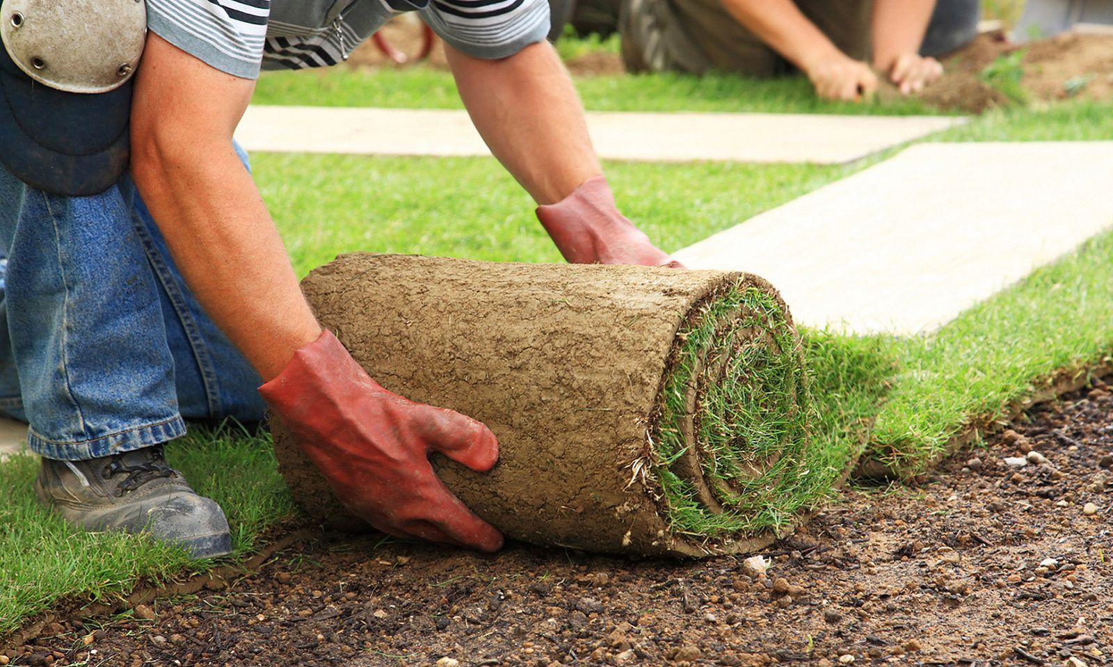 parkgardening_slide03